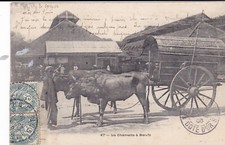 CPA - La charette à boeufs - Saigon - Viet Nam