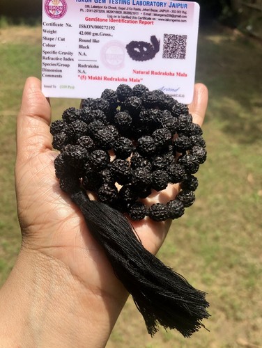 Rosaire noir rudraksh mala - 2,