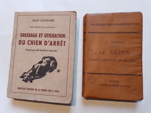 Chien races pertus - chien,, j.