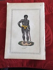 48 Gravure Originale vers 1850 VOYAGE COSTUME Orénoque Amazonie Brésil 3