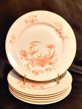 6 assiettes plates en porcelaine de Limoge Georges Boyer décor floral rose