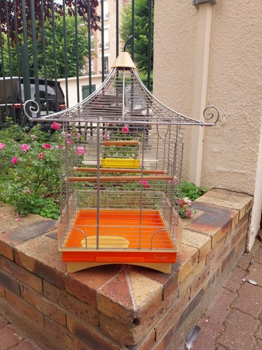 Cage vintage pour - vintage, oiseaux
