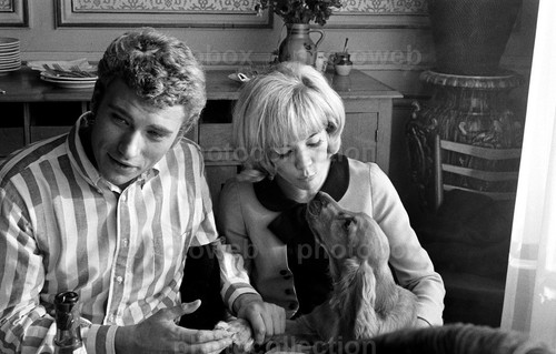 Sylvie vartan exclusive - sylvie,