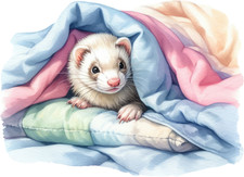 Autocollant de voiture XXL