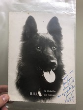 Bill la Vedette de l'Ecran