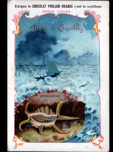 Image chromo chocolat poulain - chocolat,
