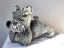 CHIEN SCHNAUZER  GIPSY ENDORMI