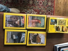 DVD DOCUMENTAIRE national geographic coffret 4 dvd dangereux reptiles