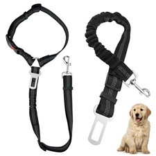 2 pièces Ceinture Chien