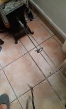 tourne broche a 19 em à