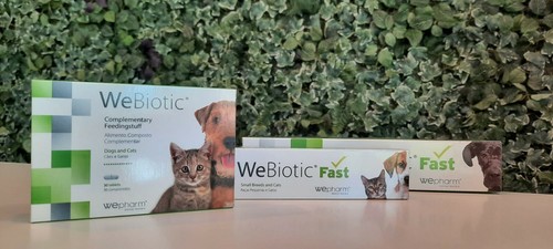 Webiotic fast chien chat - webiotic,