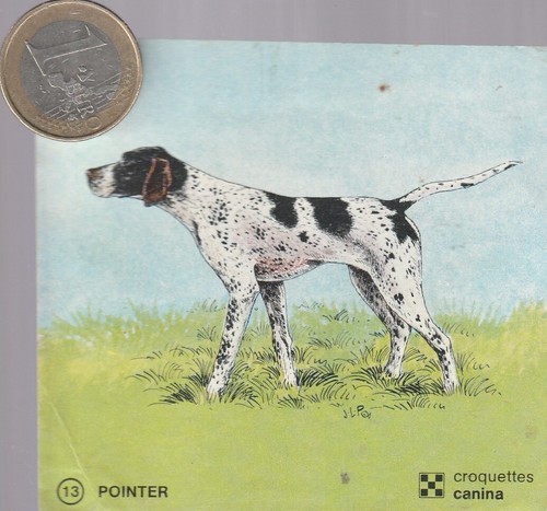 C44ani animaux chien - c44ani., animaux.