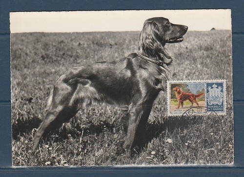 Cma carte maximum saint - cma/,