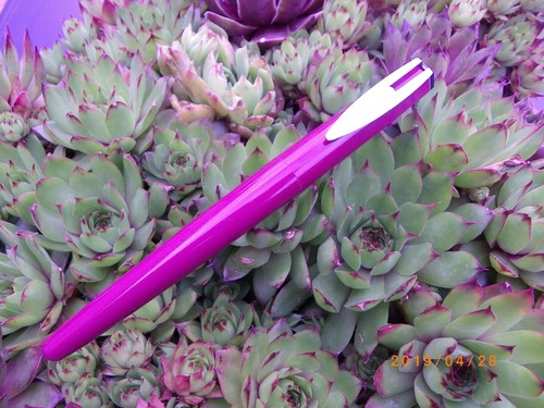 Stylo plume waterman reflex - plume,