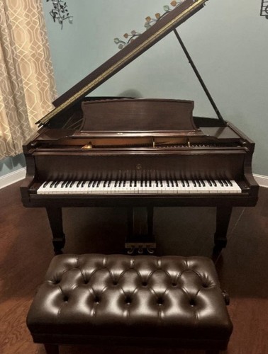 Beautiful crown jewel - jewel, steinway