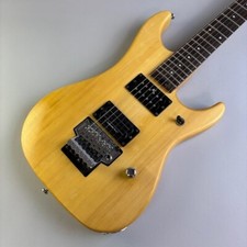 Washburn N2 avec étui souple USED