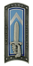 Insigne militaire (military