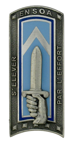 Insigne militaire military - insigne,