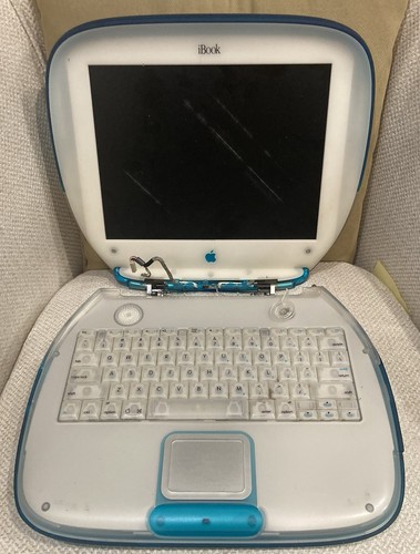Vintage blueberry apple ibook - blueberry,