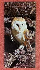 Carte MERVEILLES DU MONDE