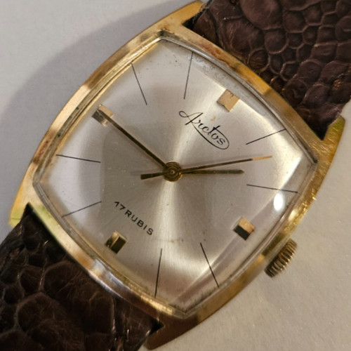 Montre homme vintage arctos - homme,
