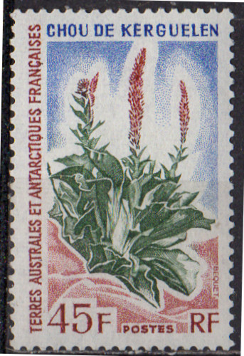 Terres australes - terres,