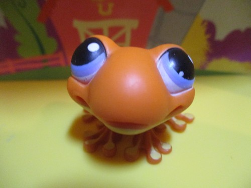 Petshop grenouille 362 - #362, /