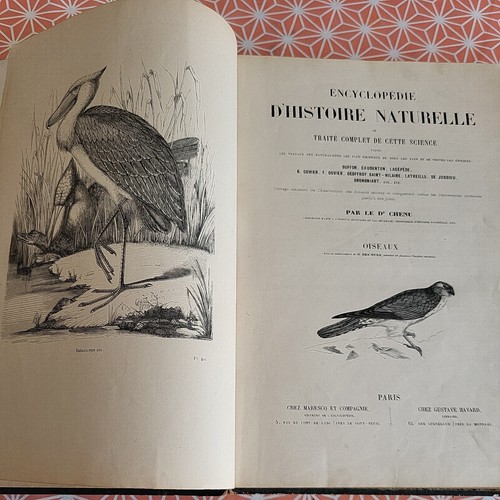 Encyclopédie histoire - encyclopédie, d'histoire