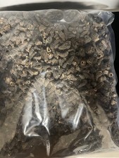 Morilles Mini 1 Kg + 1 Kg