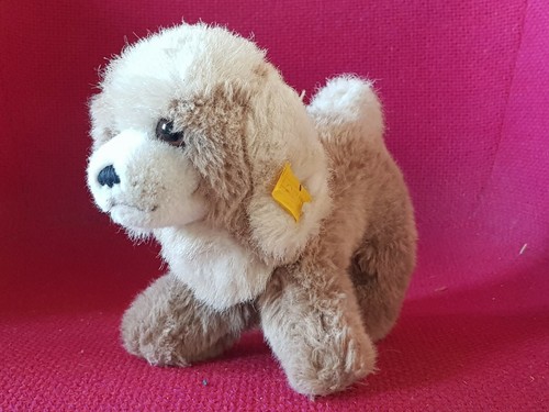 Jolie chien ours peluche - ,
