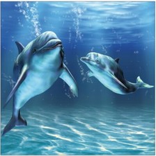 3 Sticker boites aux lettres