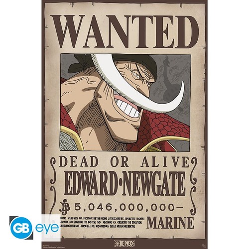 One piece affiche - -, maxi