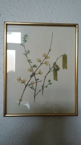 Aquarelle encadree sous verre - sous,