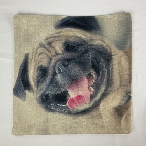 Housse coussin oreiller - coussin,