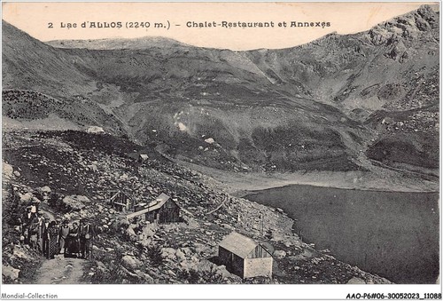 Aaop6 0498 lac allos - aaop6-04-0498,