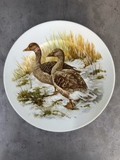 ASSIETTE DE COLLECTION EN PORCELAINE DE LIMOGES Décor nature Paysage Canard.