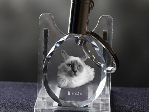Sacré birmanie - sacré, de