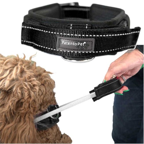 Collier dressage pour chien - dressage,