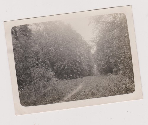 Photo ancienne - , 🎞️