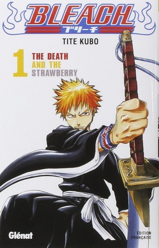 Bleach tome - bleach, 1