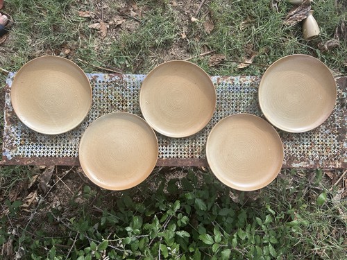 Lot assiettes plates - 5,