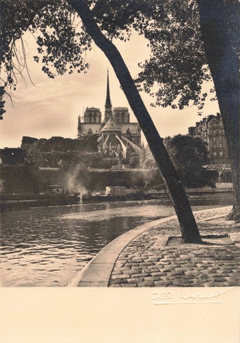 Cpsm paris notre dame - cpsm,