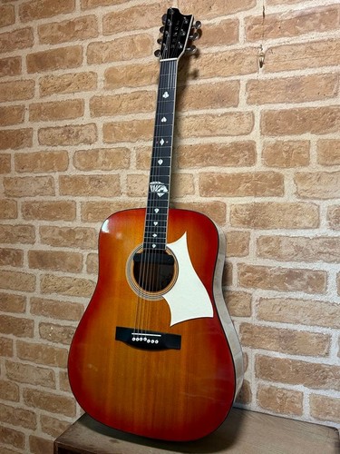 Guitare acoustique électrique