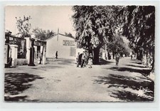 Algérie - TAZMALT - Rue Léon Cartailler - Ed. Photo-Africaines 9