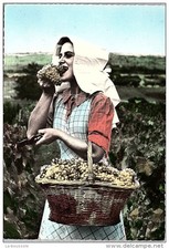 71 - type de bourgogne - une