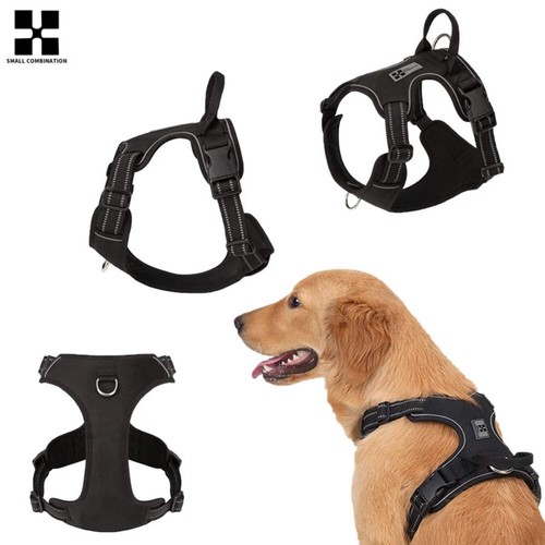 Harnais pour chien - *harnais,