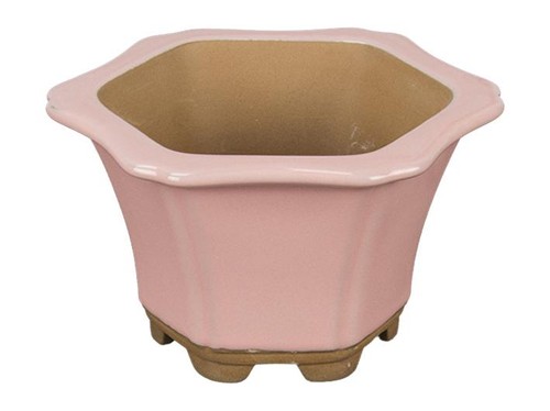 Pot bonsaï hexagonal en - pot,