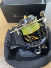 19 Stella SW 8000PG