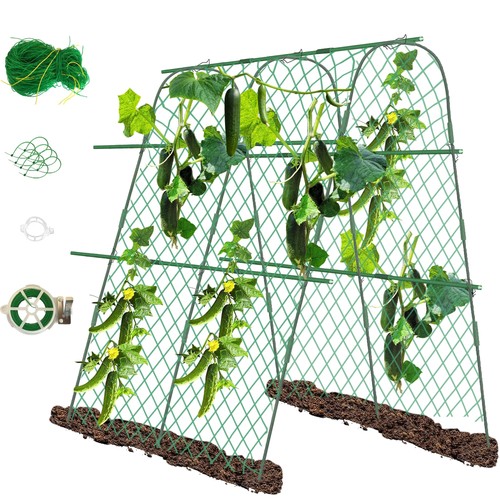Treillis plante grimpante - treillis,