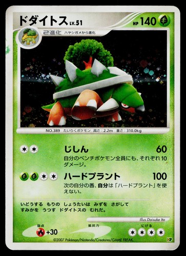 Torterra holo entry pack - entry,